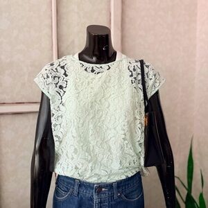 Ann Taylor Loft Pistachio Lace Short Cap Sleeve Blouse Layering Medium